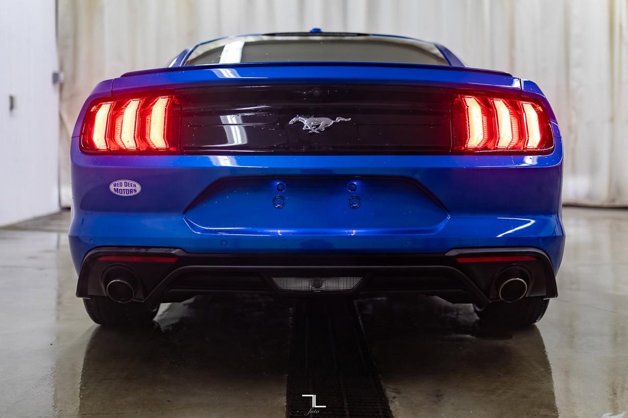 2019 Ford Mustang EcoBoost Premium Leather Nav BCam Red Deer AB