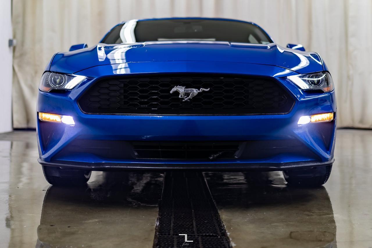 2019 Ford Mustang EcoBoost Premium Leather Nav BCam Red Deer AB