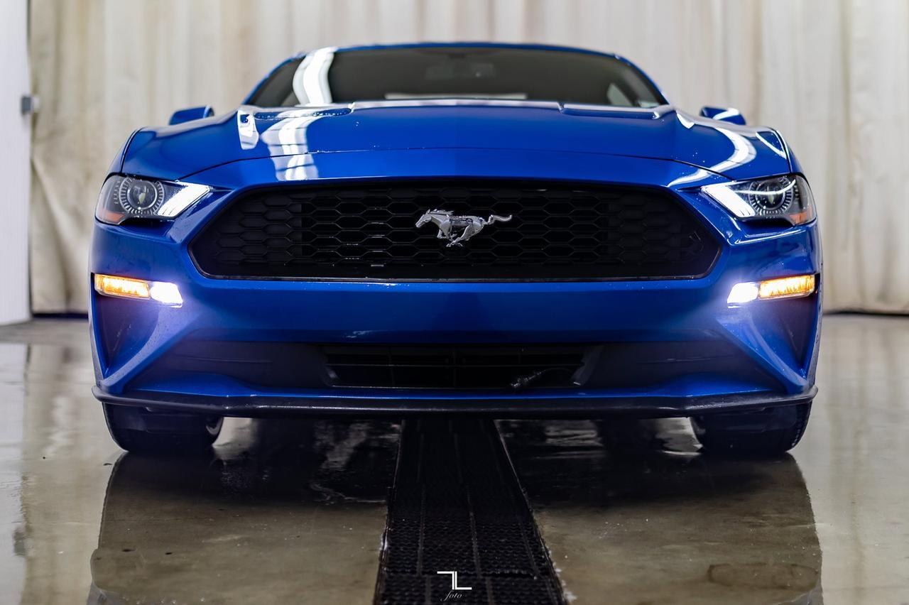 2019 Ford Mustang EcoBoost Premium Leather Nav BCam Red Deer AB