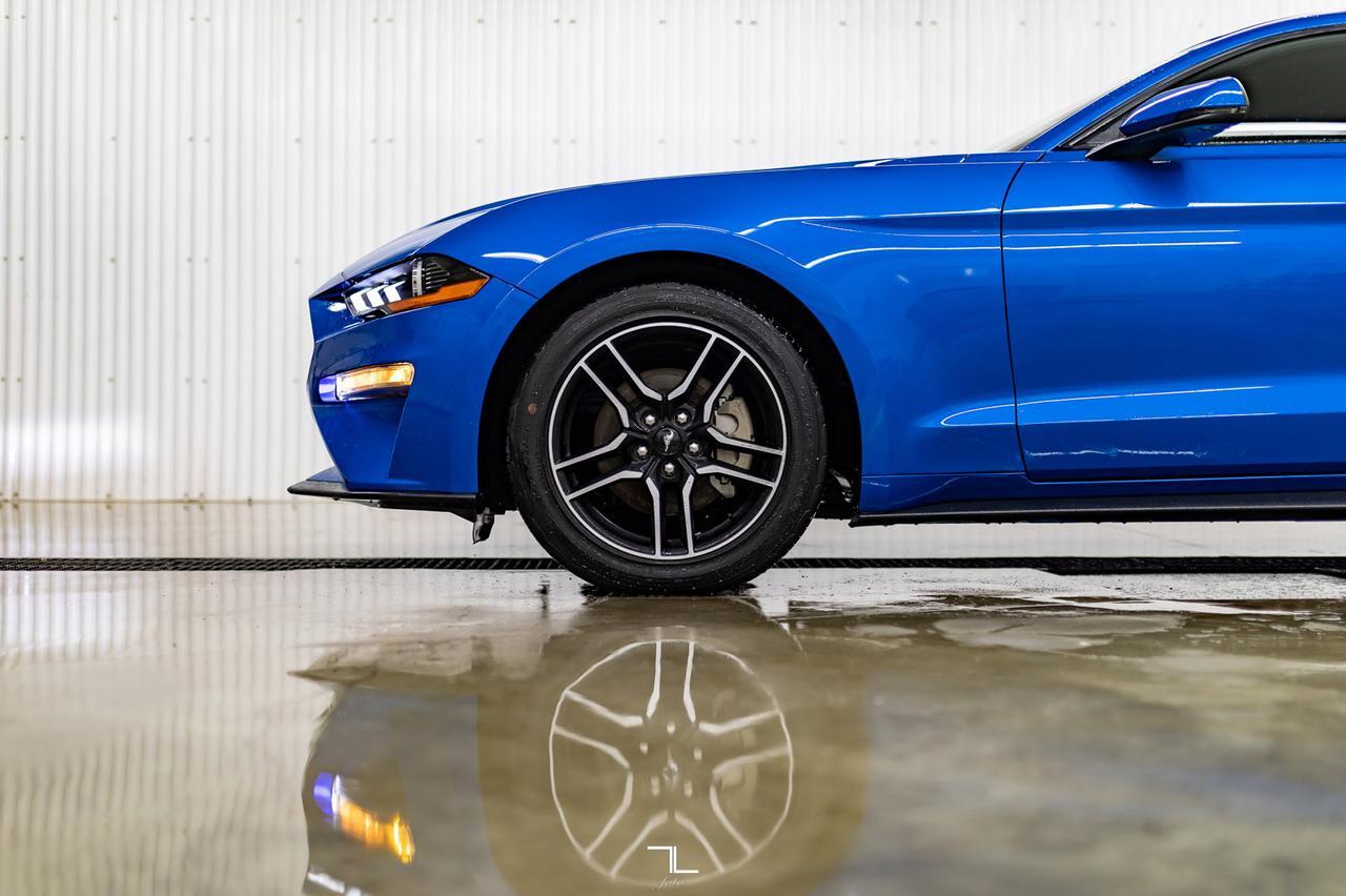 2019 Ford Mustang EcoBoost Premium Leather Nav BCam Red Deer AB