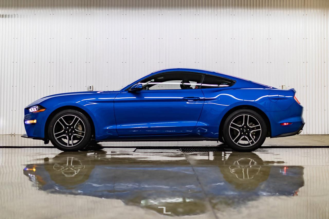 2019 Ford Mustang EcoBoost Premium Leather Nav BCam Red Deer AB