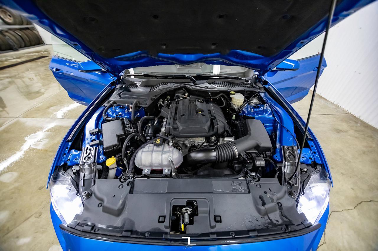 2019 Ford Mustang EcoBoost Premium Leather Nav BCam Red Deer AB