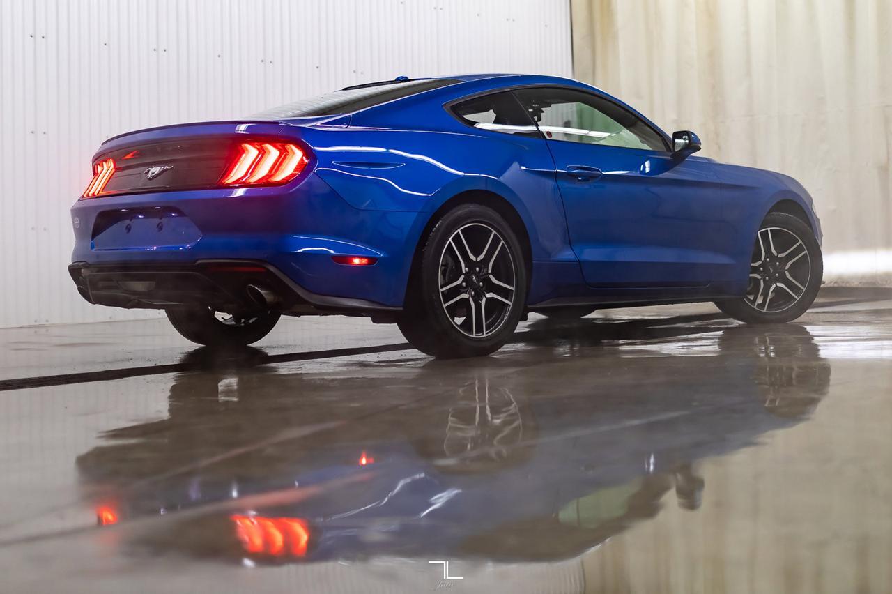 2019 Ford Mustang EcoBoost Premium Leather Nav BCam Red Deer AB