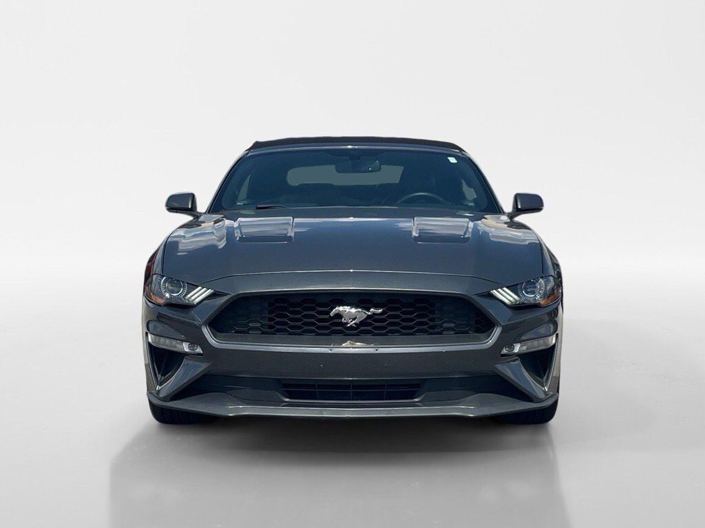 2019 Ford Mustang EcoBoost Premium Oak Ridge TN
