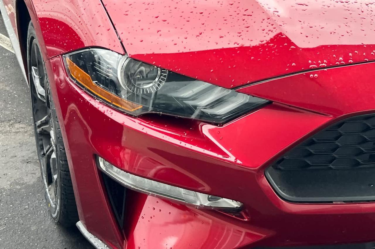 2019 Ford Mustang EcoBoost Premium Roseville CA
