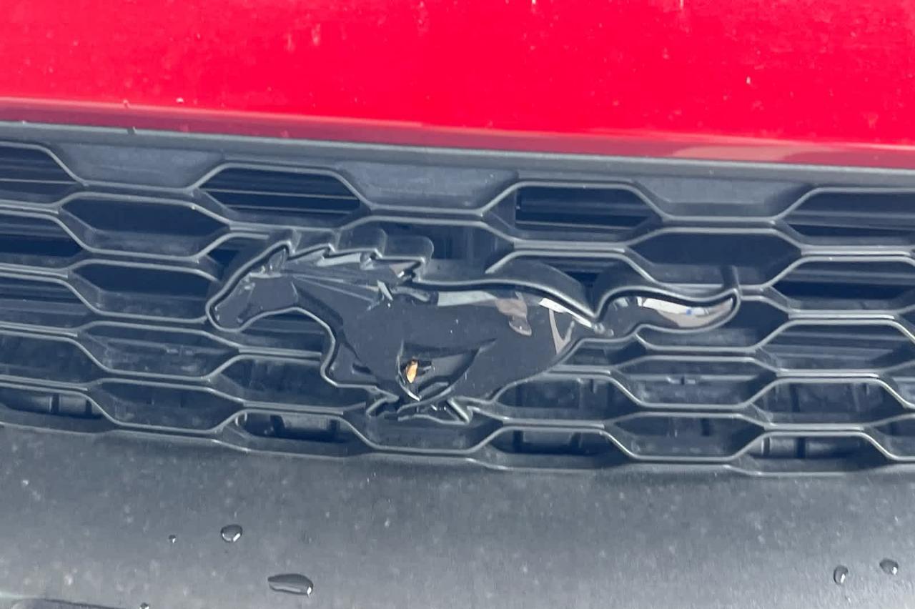 2019 Ford Mustang EcoBoost Premium Roseville CA