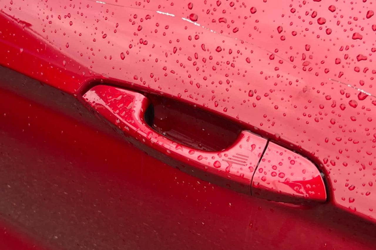 2019 Ford Mustang EcoBoost Premium Roseville CA