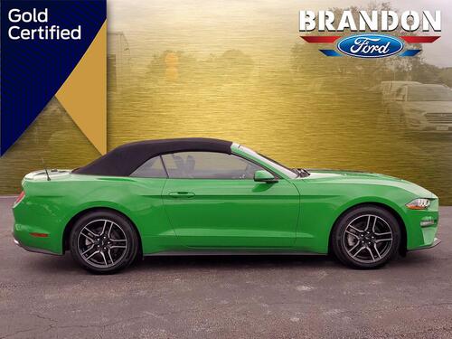 2019 Ford Mustang EcoBoost Premium Tampa FL 2019 Ford Mustang EcoBoost Premium Tampa FL