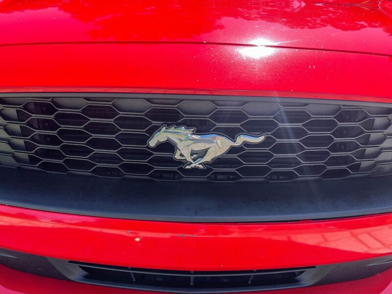 2019 Ford Mustang EcoBoost Premium Wilmington NC