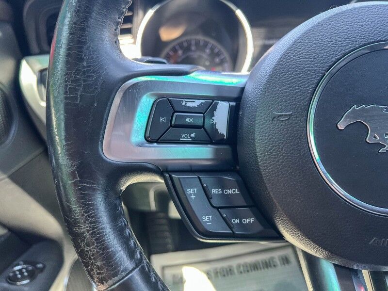 2019 Ford Mustang EcoBoost Premium Wilmington NC
