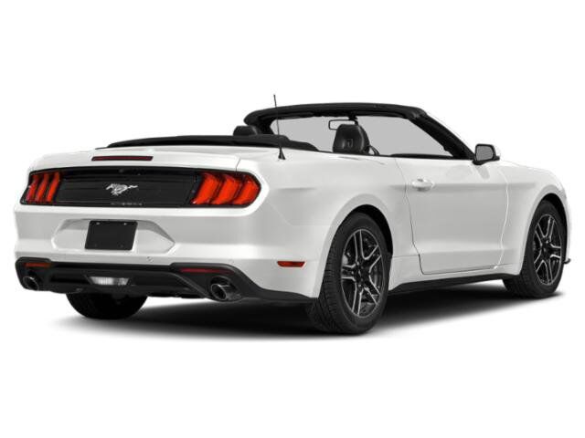 2019 Ford Mustang EcoBoost Premium Winder GA