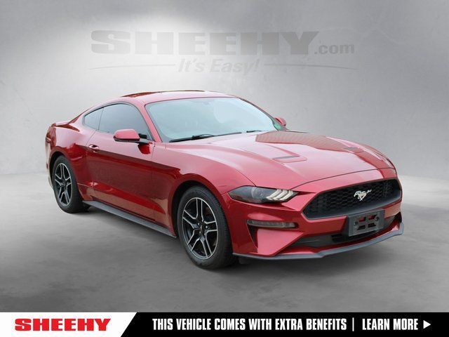 2019 Ford Mustang