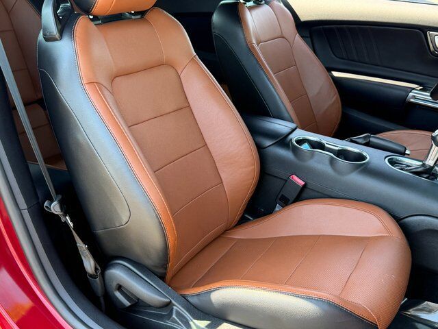2019 Ford Mustang EcoBoost Premium Springfield VA