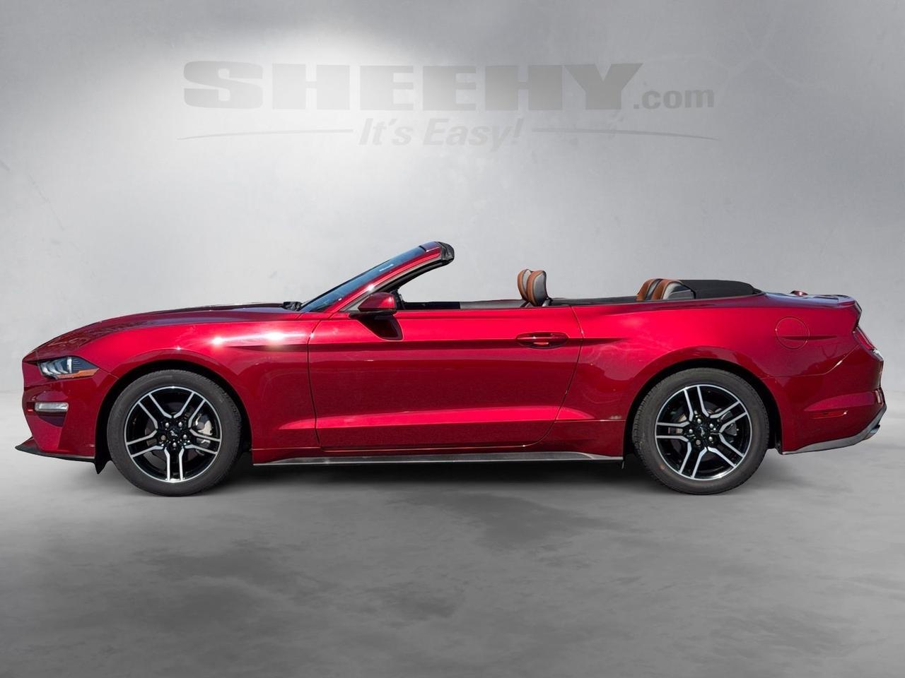 2019 Ford Mustang EcoBoost Premium Springfield VA
