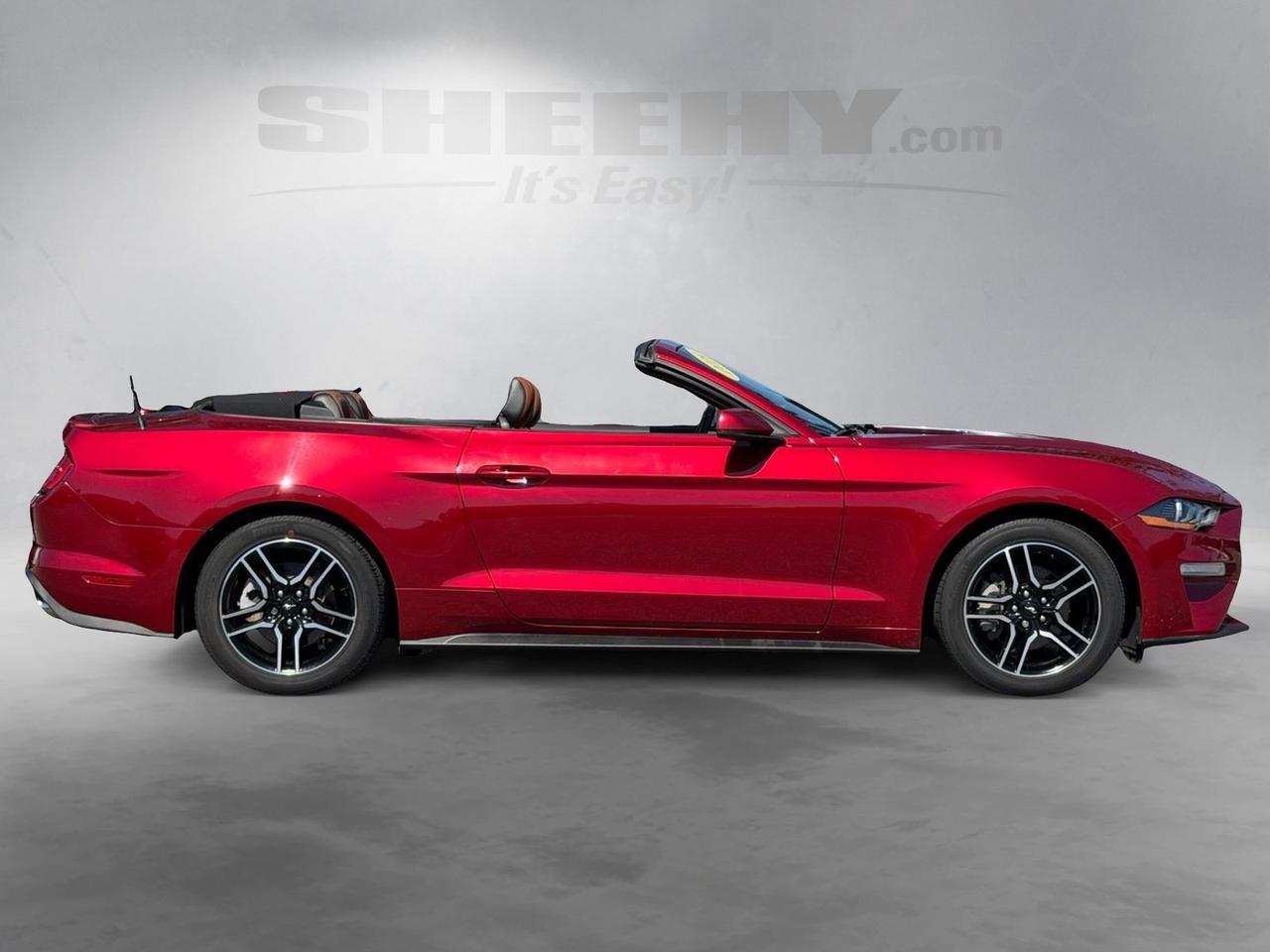 2019 Ford Mustang EcoBoost Premium Springfield VA