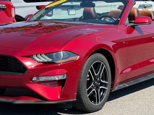 2019 Ford Mustang EcoBoost Premium Springfield VA