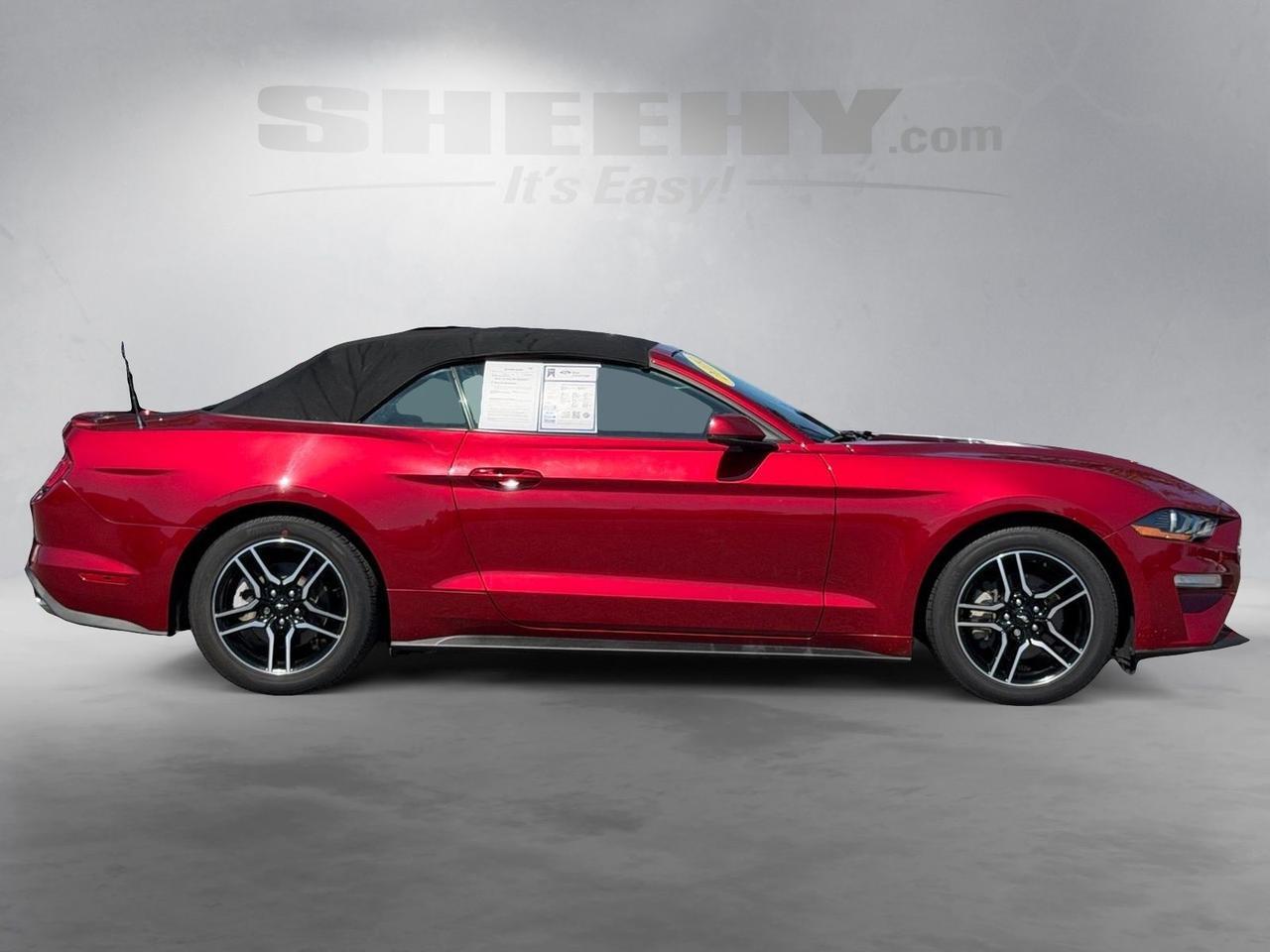 2019 Ford Mustang EcoBoost Premium Springfield VA