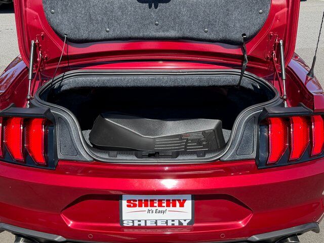 2019 Ford Mustang EcoBoost Premium Springfield VA