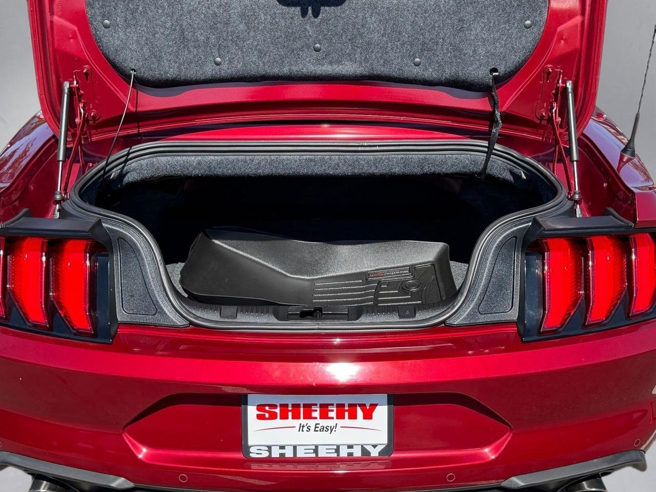 2019 Ford Mustang EcoBoost Premium Springfield VA