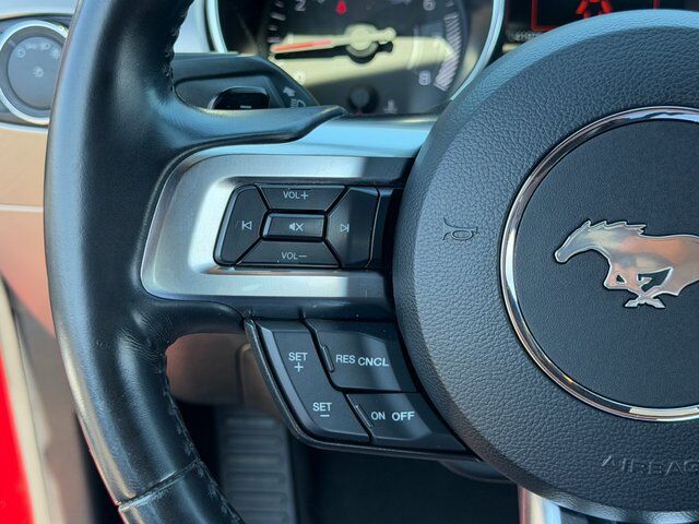 2019 Ford Mustang EcoBoost Premium Springfield VA