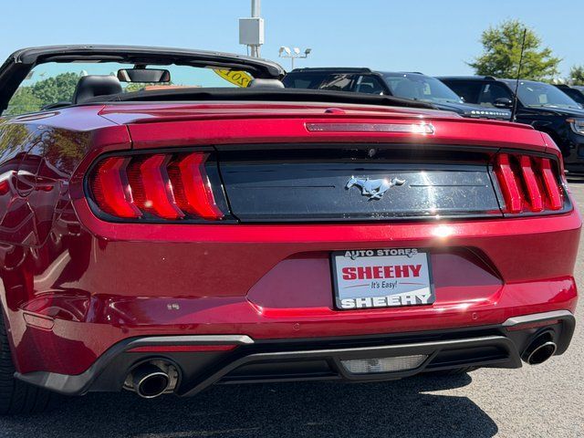 2019 Ford Mustang EcoBoost Premium Springfield VA