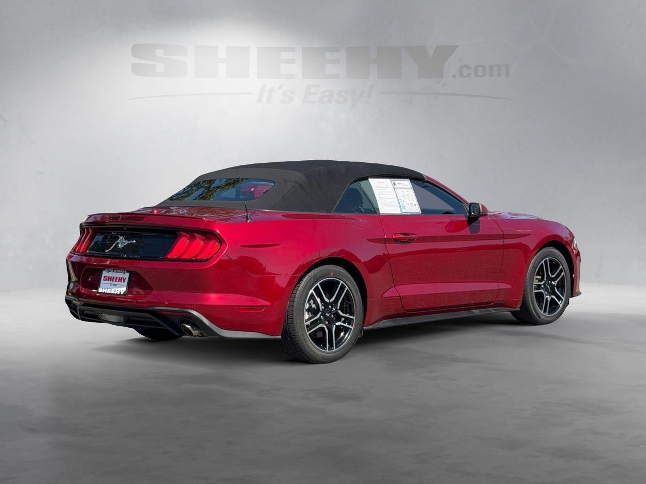 2019 Ford Mustang EcoBoost Premium Springfield VA