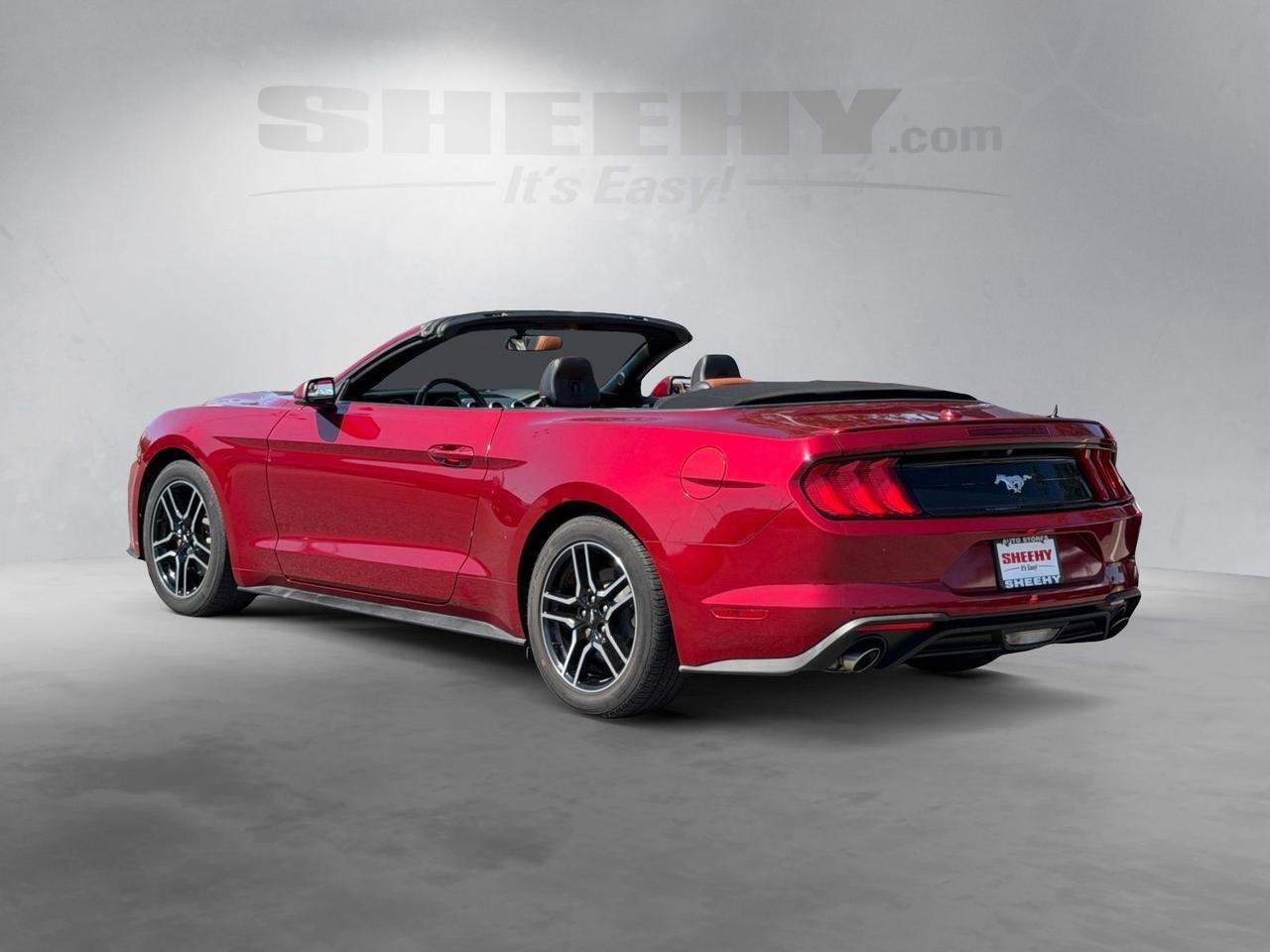 2019 Ford Mustang EcoBoost Premium Springfield VA