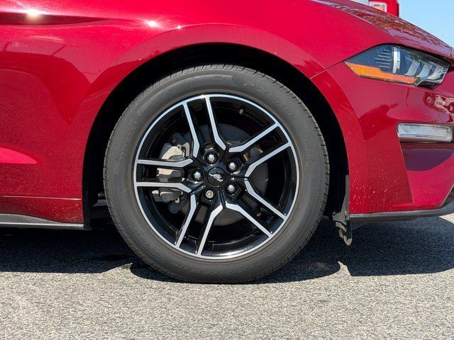 2019 Ford Mustang EcoBoost Premium Springfield VA