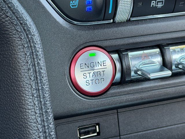 2019 Ford Mustang EcoBoost Premium Springfield VA