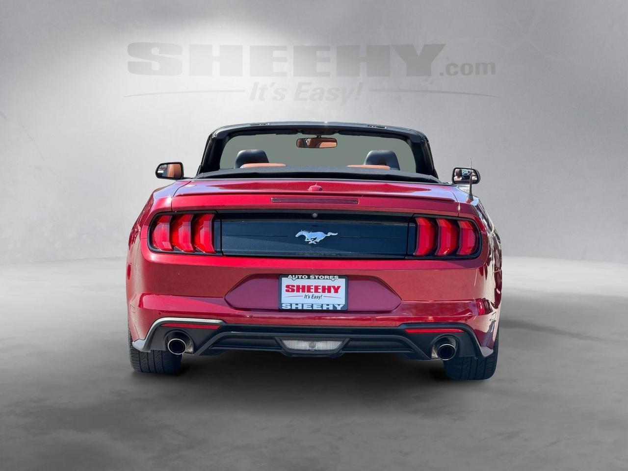 2019 Ford Mustang EcoBoost Premium Springfield VA