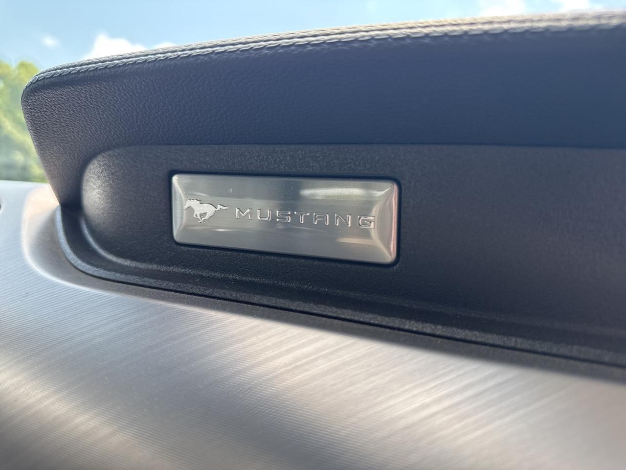 2019 Ford Mustang EcoBoost Premium Warrenton VA