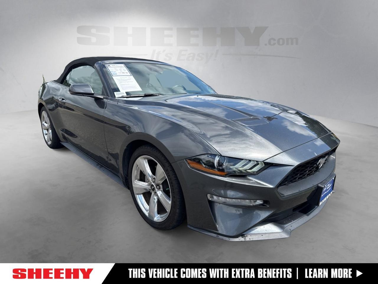 2019 Ford Mustang EcoBoost Premium Warrenton VA