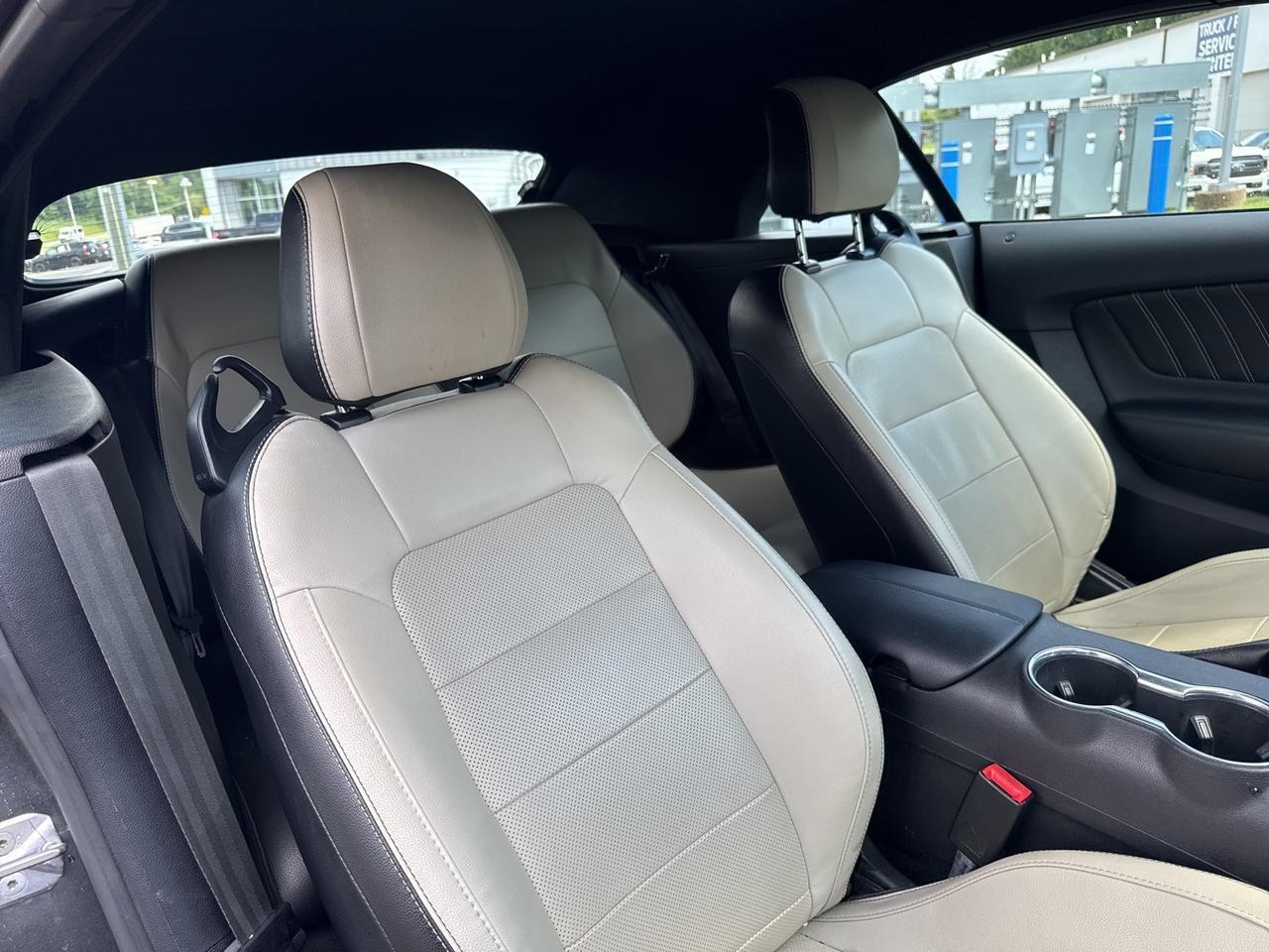 2019 Ford Mustang EcoBoost Premium Warrenton VA