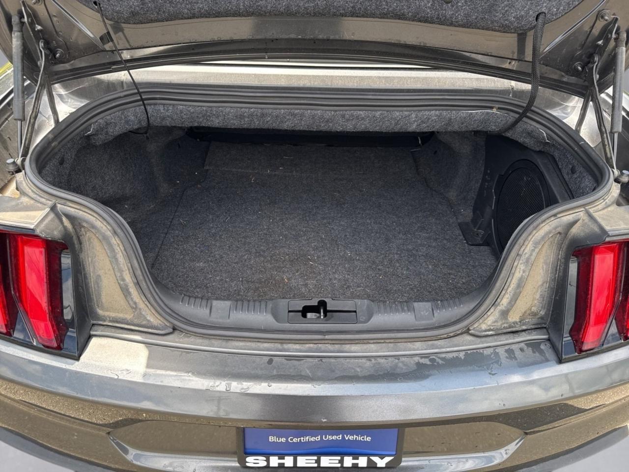 2019 Ford Mustang EcoBoost Premium Warrenton VA