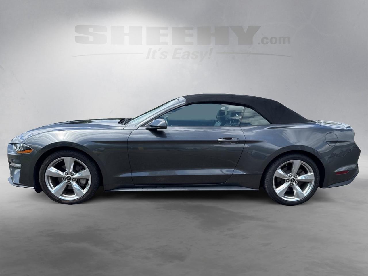 2019 Ford Mustang EcoBoost Premium Warrenton VA