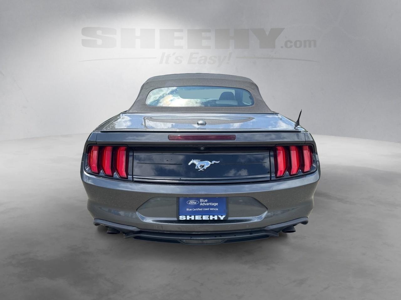 2019 Ford Mustang EcoBoost Premium Warrenton VA