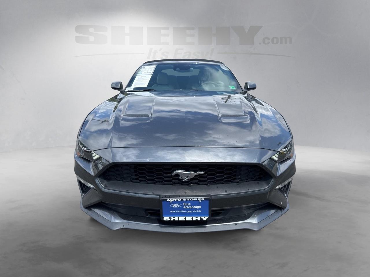 2019 Ford Mustang EcoBoost Premium Warrenton VA