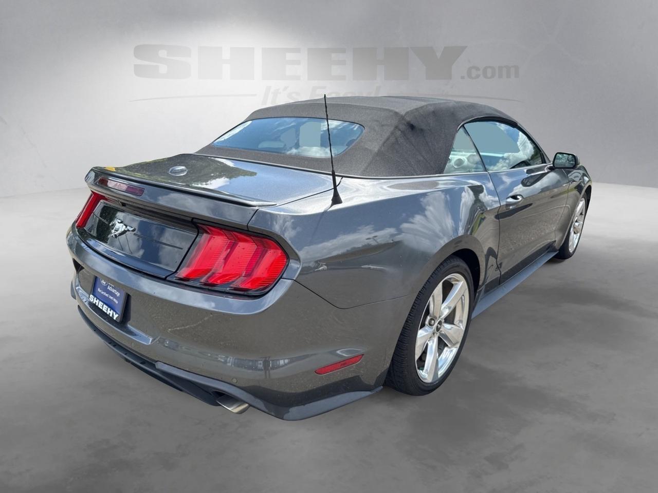 2019 Ford Mustang EcoBoost Premium Warrenton VA