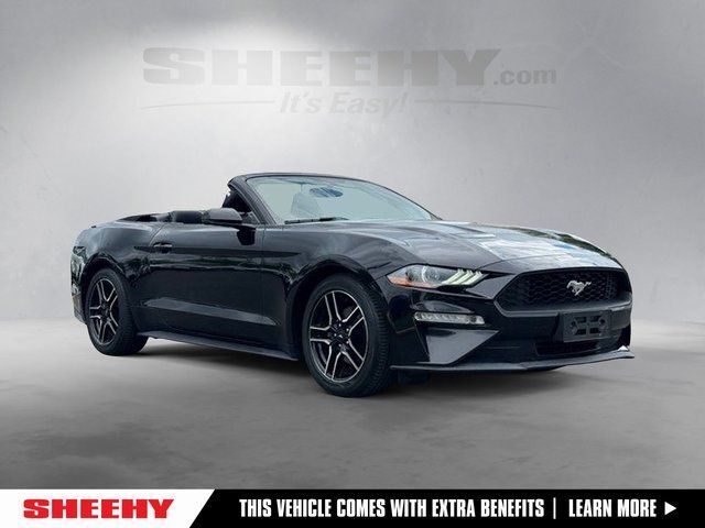 2019 Ford Mustang