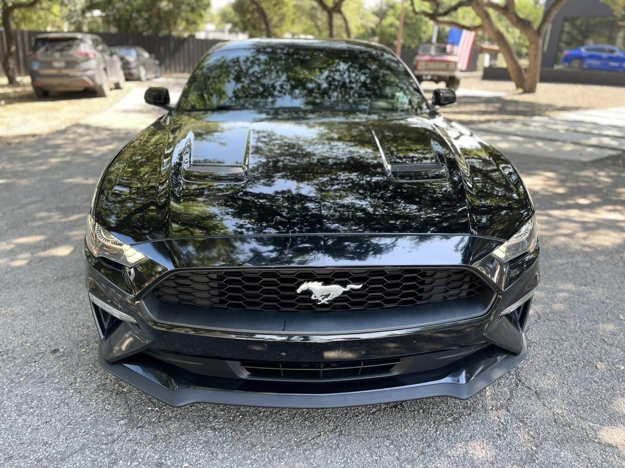 2019 Ford Mustang EcoBoost Spring Branch TX