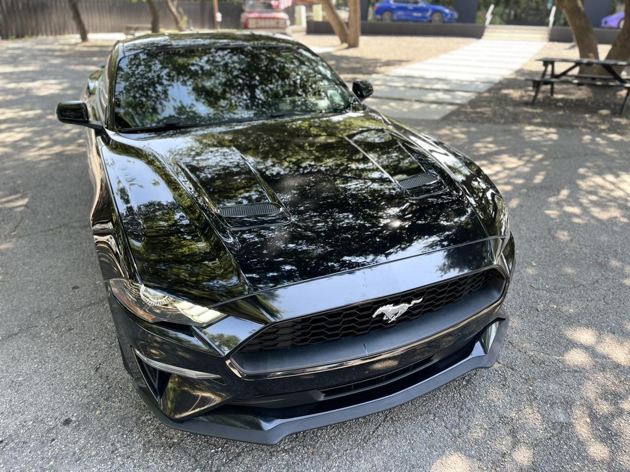 2019 Ford Mustang EcoBoost Spring Branch TX