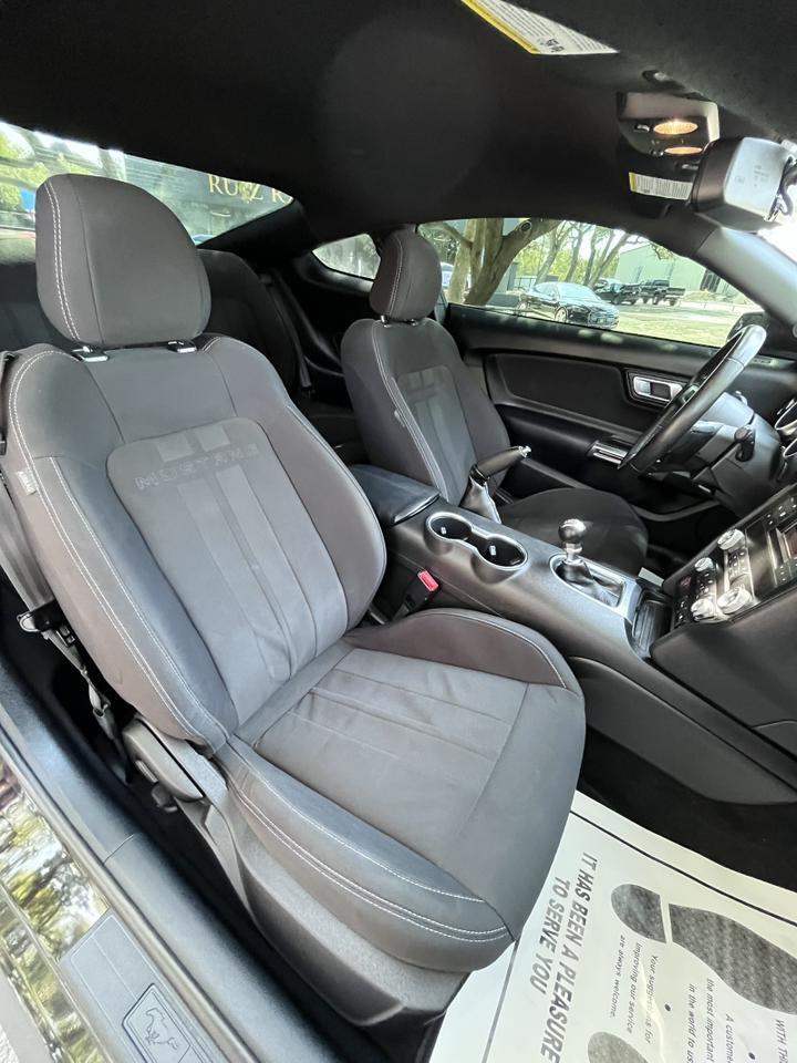 2019 Ford Mustang EcoBoost Spring Branch TX