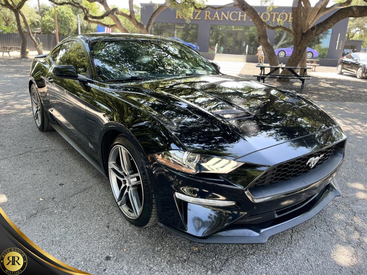 2019 Ford Mustang EcoBoost Spring Branch TX