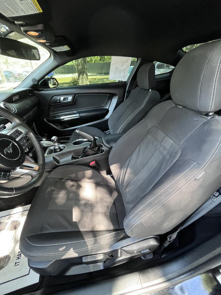 2019 Ford Mustang EcoBoost Spring Branch TX