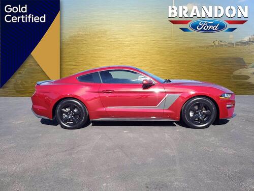 2019 Ford Mustang EcoBoost Tampa FL 2019 Ford Mustang EcoBoost Tampa FL