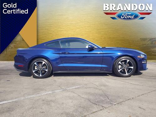 2019 Ford Mustang EcoBoost Tampa FL 2019 Ford Mustang EcoBoost Tampa FL