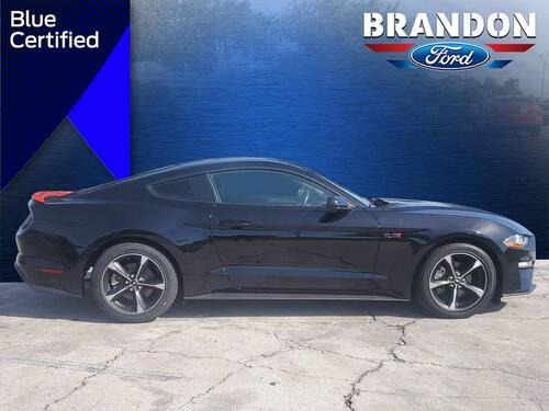 2019 Ford Mustang EcoBoost Tampa FL 2019 Ford Mustang EcoBoost Tampa FL