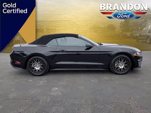 2019 Ford Mustang EcoBoost Tampa FL 2019 Ford Mustang EcoBoost Tampa FL