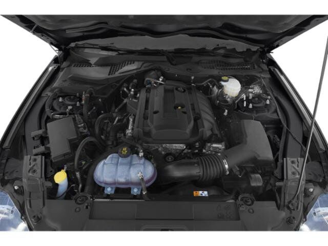 2019 Ford Mustang EcoBoost Winder GA