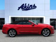 2019 Ford Mustang EcoBoost Winder GA 2019 Ford Mustang EcoBoost Winder GA